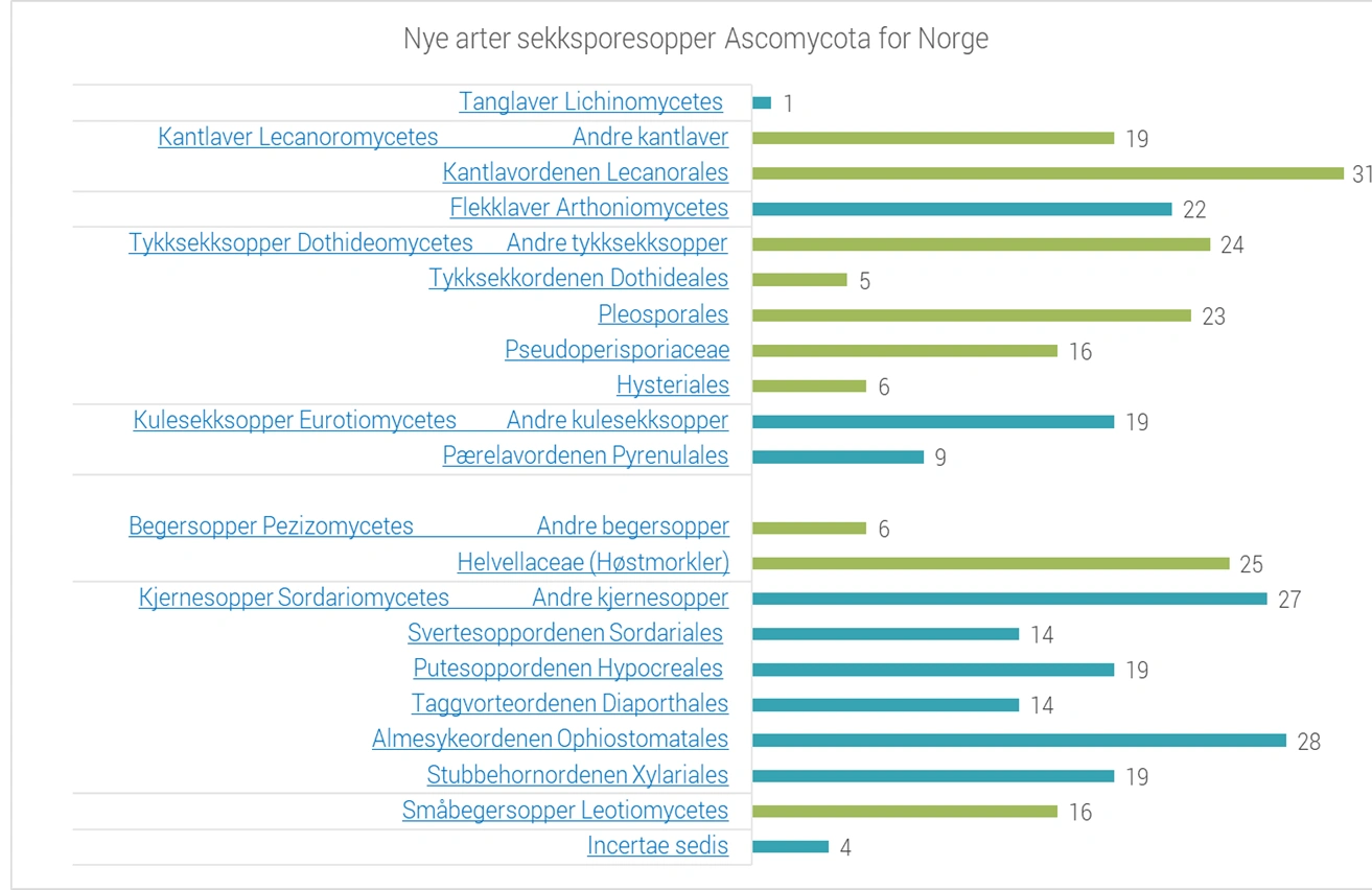 Tabell_sekksporesopp2