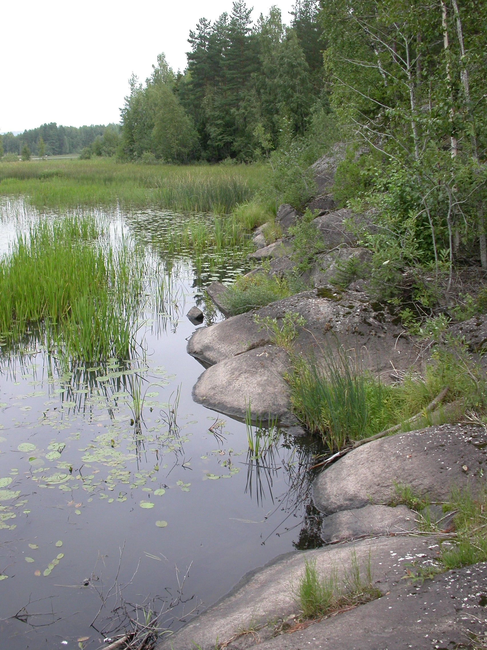 NIN-3.0-T-C-LI-0-0-I-FS01 Hardbunn i ferskvann.