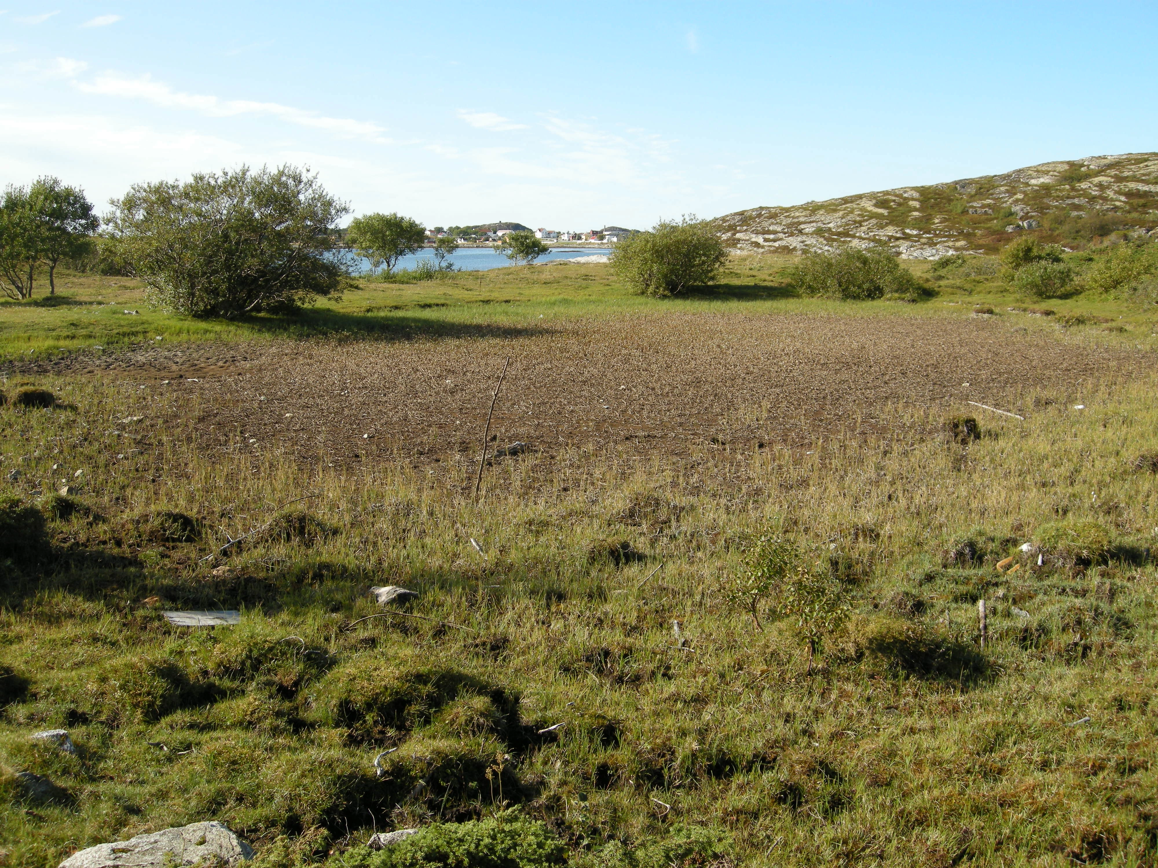 NIN-3.0-T-C-LI-0-0-I-FS05 Dødt organisk materiale i ferskvann.