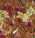 : Sphagnum austinii.