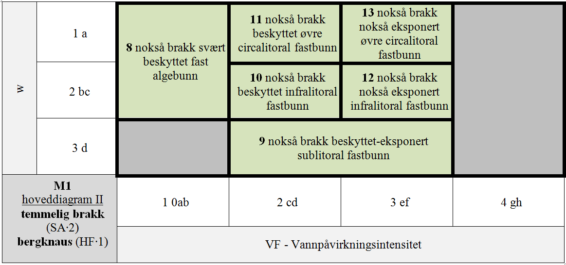 M1 Eufotisk fast saltvannsbunn.