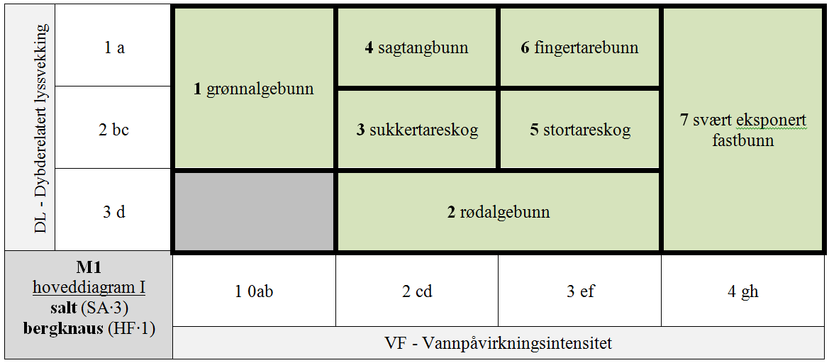 M1 Eufotisk fast saltvannsbunn.