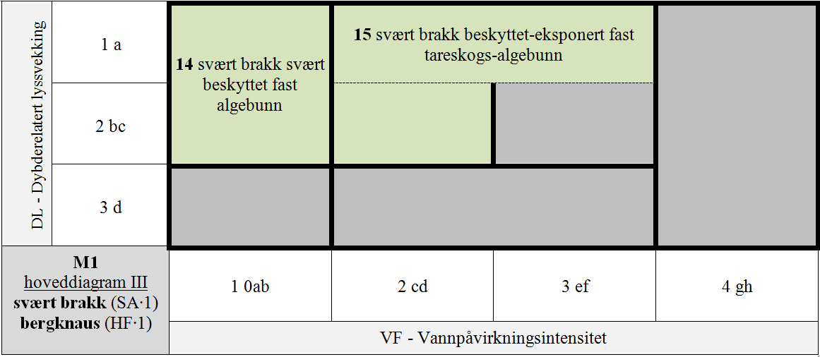 M1 Eufotisk fast saltvannsbunn.