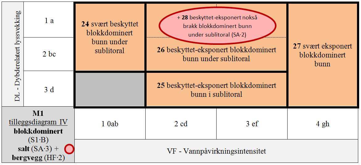 M1 Eufotisk fast saltvannsbunn.