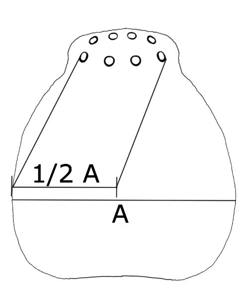 : Clubionidae.