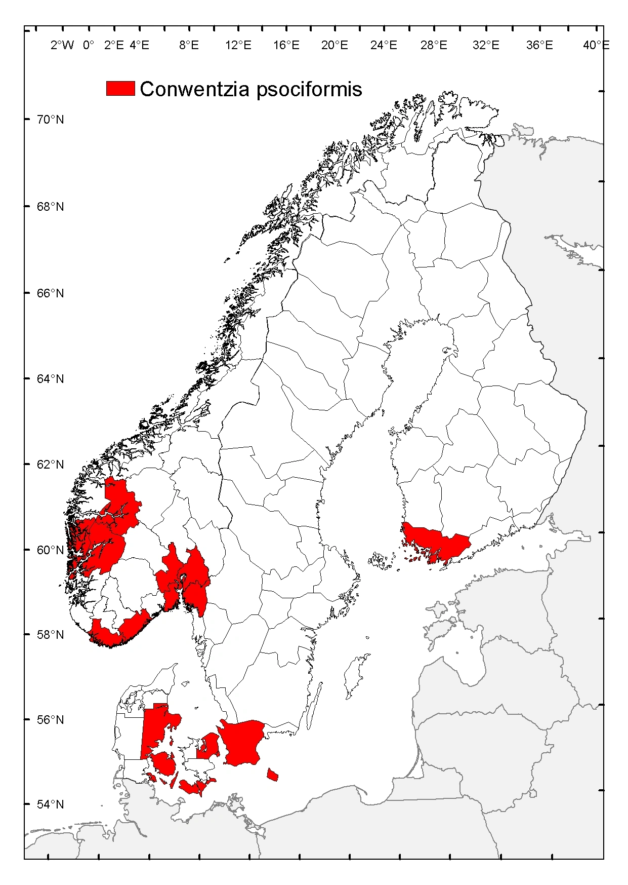 : Conwentzia psociformis.