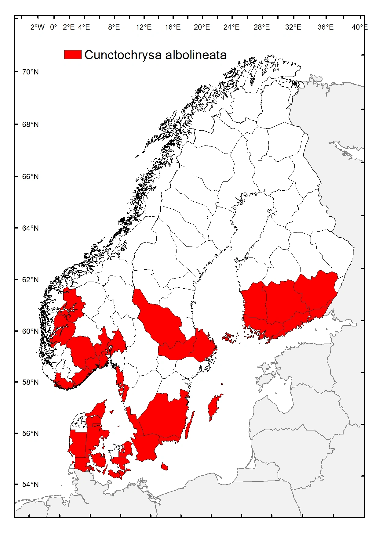 : Cunctochrysa albolineata.