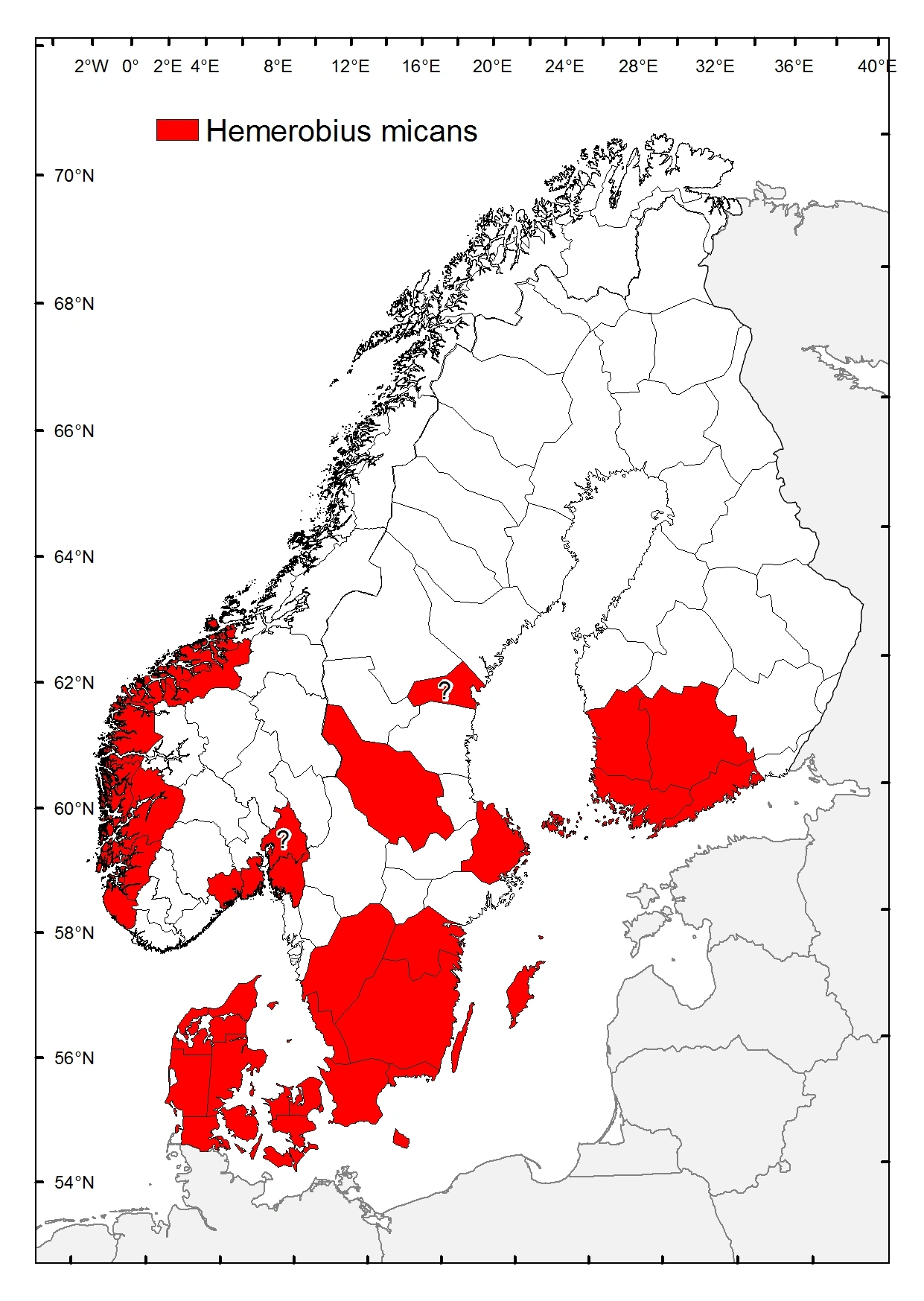 : Hemerobius micans.