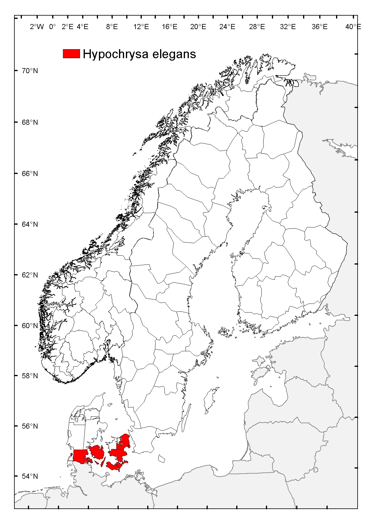 : Hypochrysa elegans.