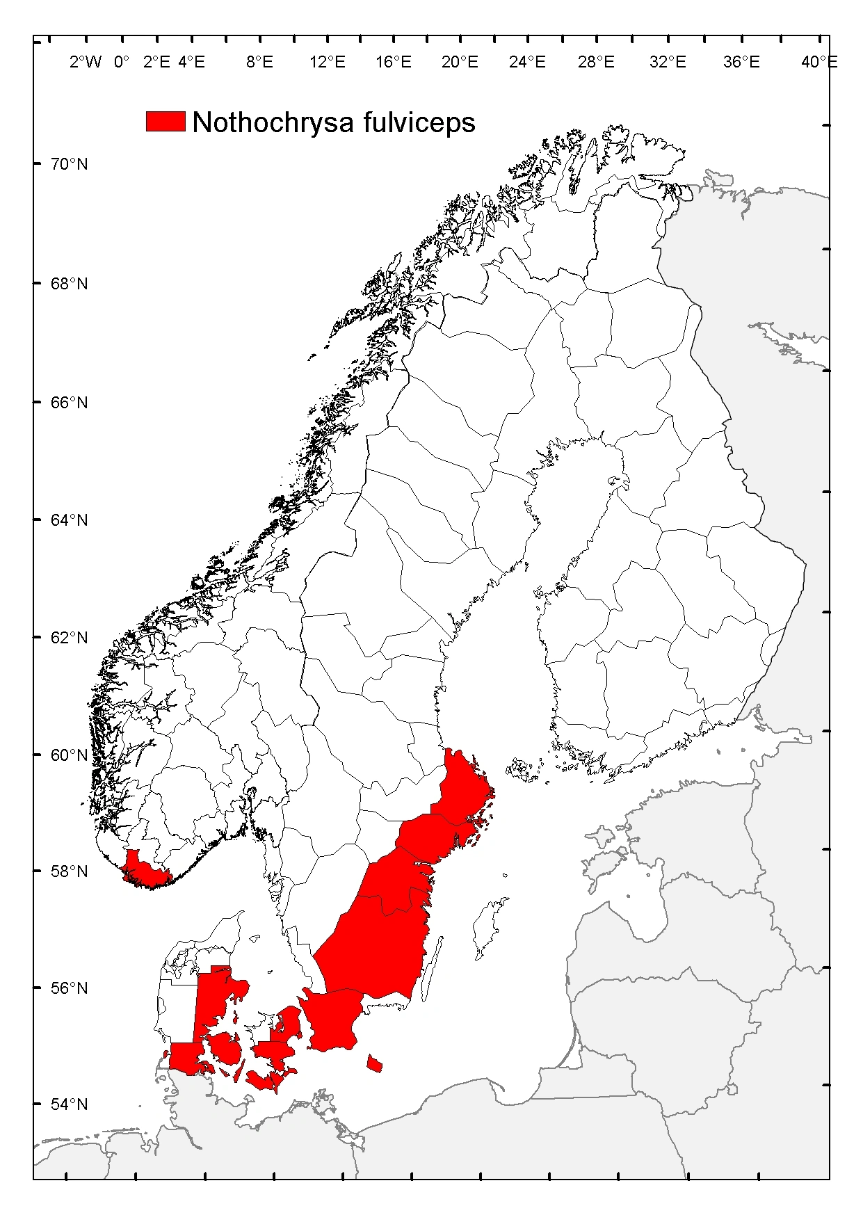 : Nothochrysa fulviceps.