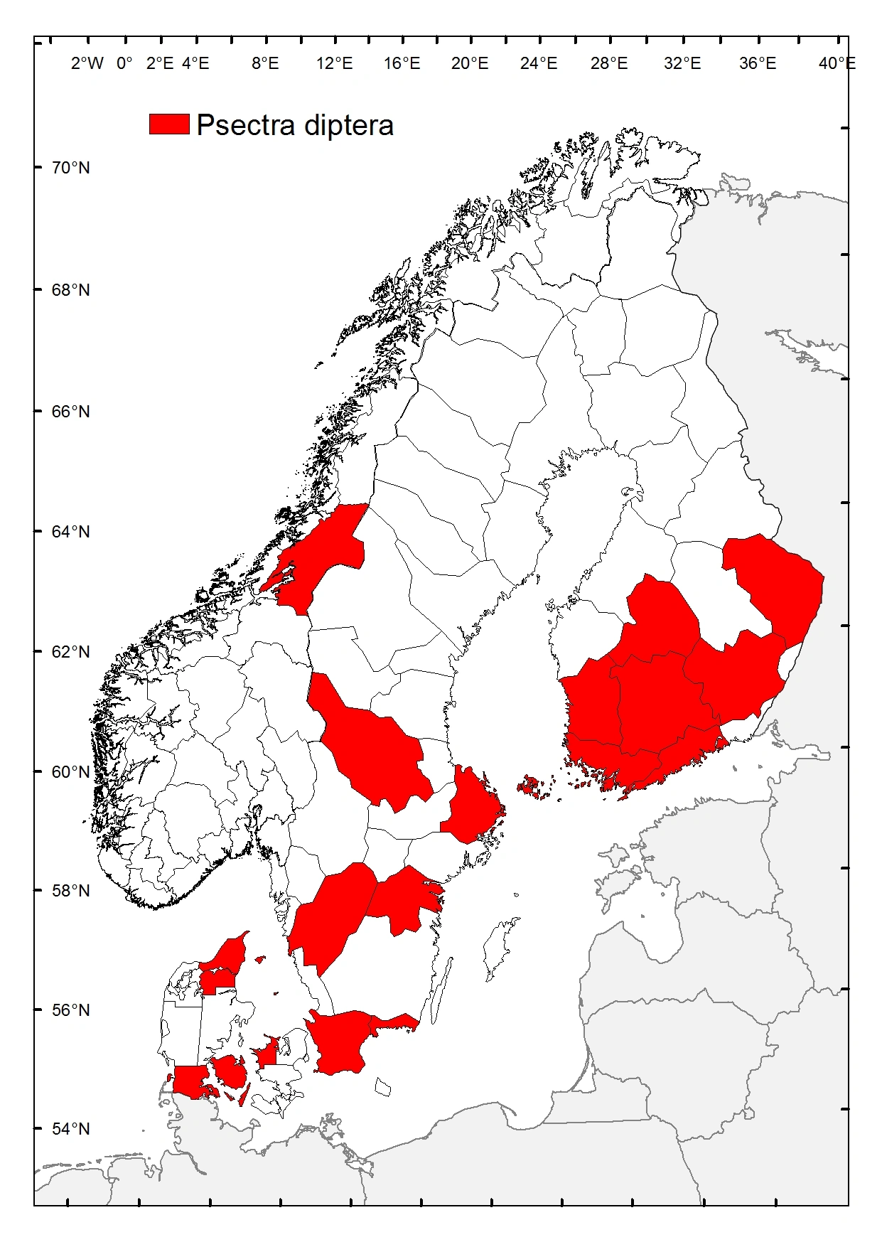 : Psectra diptera.