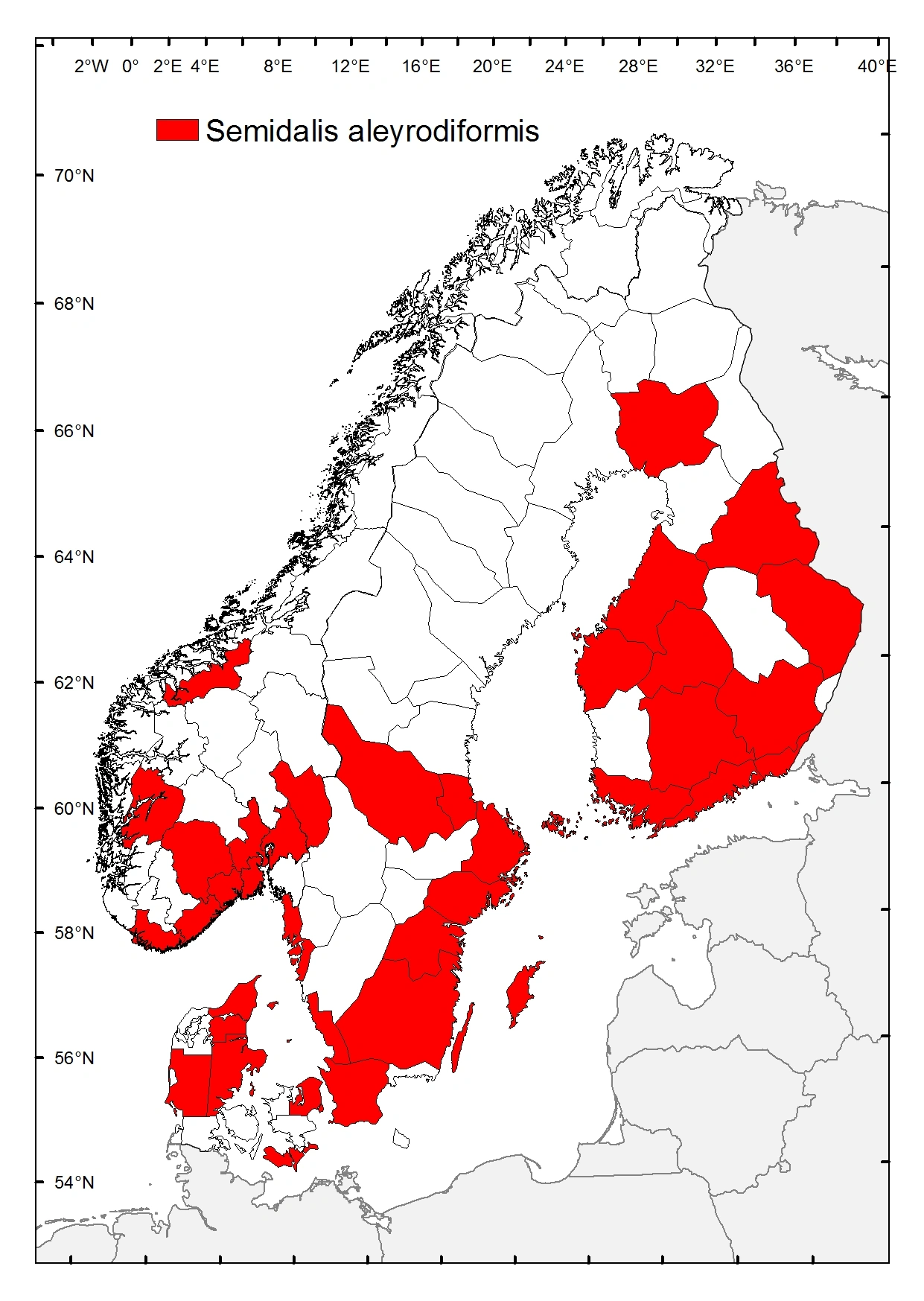 : Semidalis aleyrodiformis.