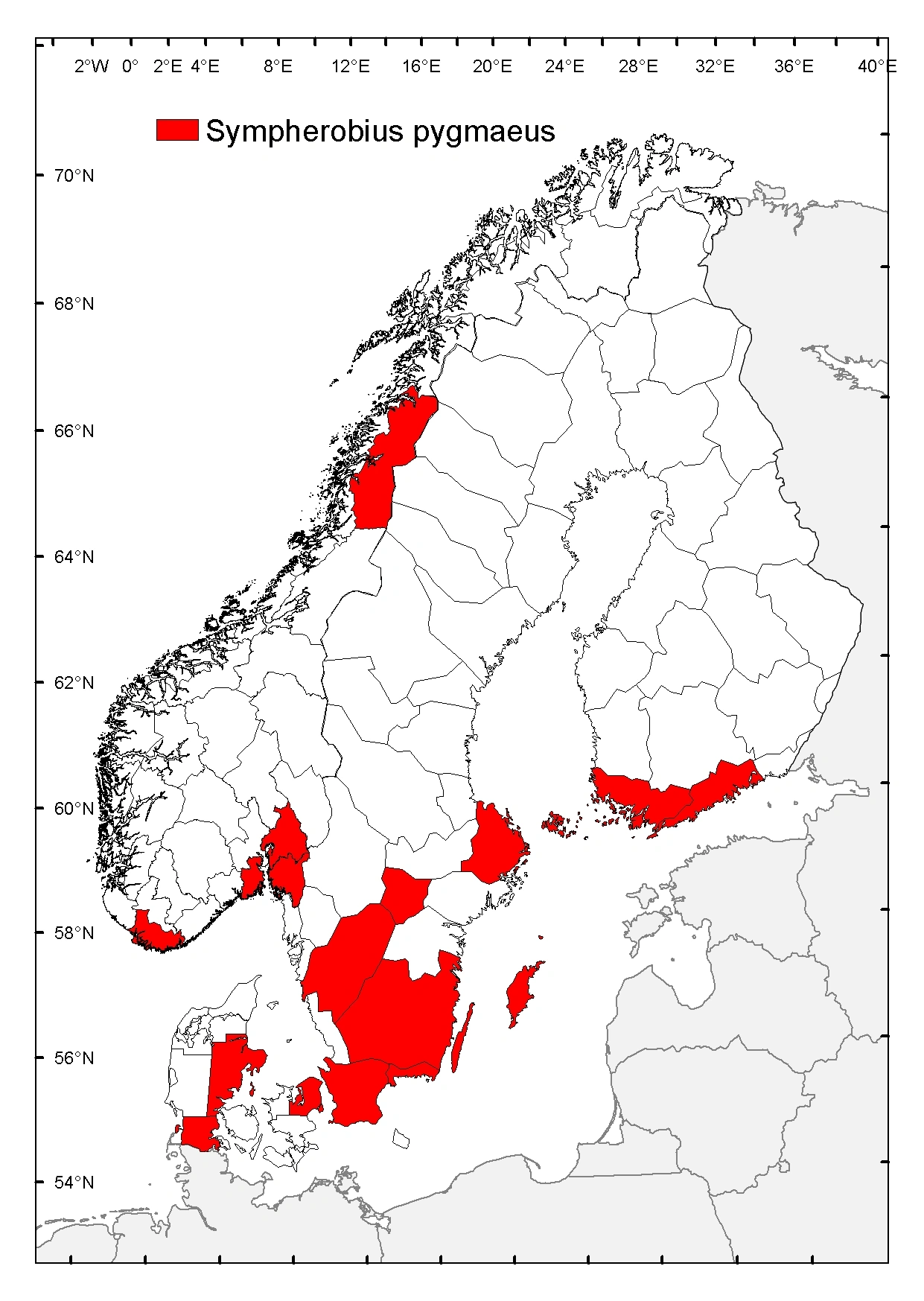 : Sympherobius pygmaeus.