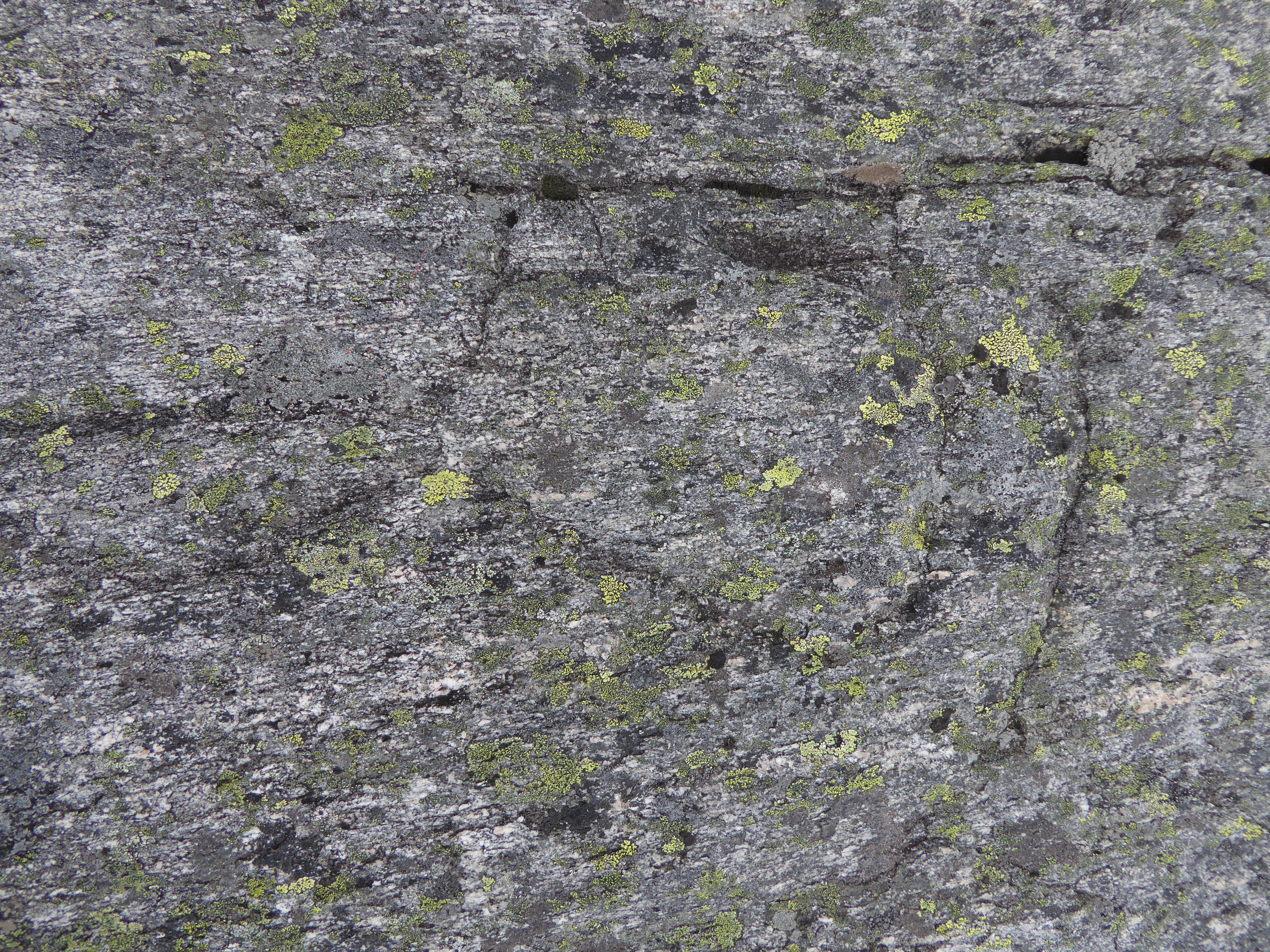 T1-C-2 uttørkingseksponerte svært og temmelig kalkfattige berg, bergvegger og knauser.