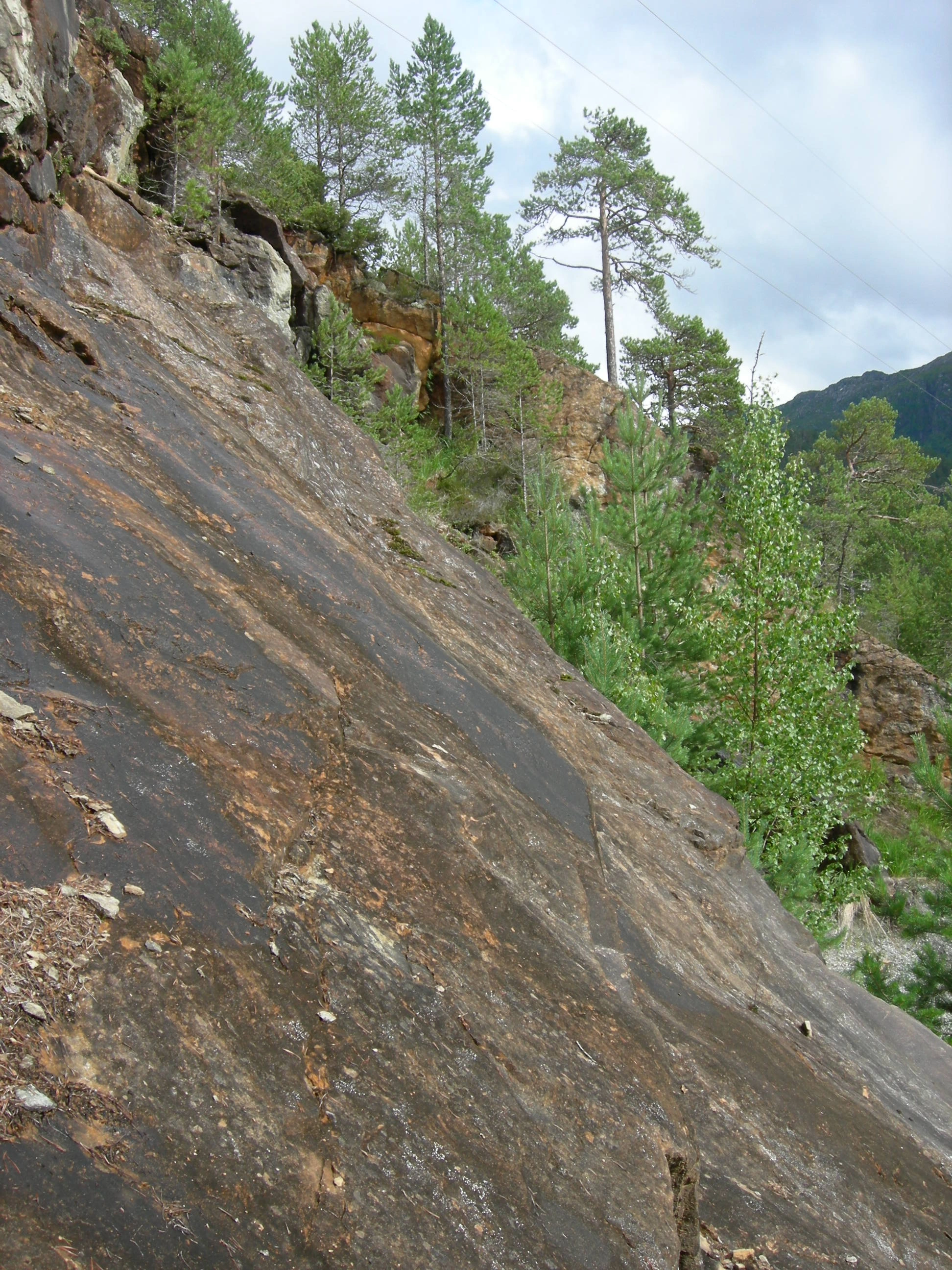 T1-C-4 uttørkingseksponerte litt kalkfattige og svakt intermediære berg, bergvegger og knauser.