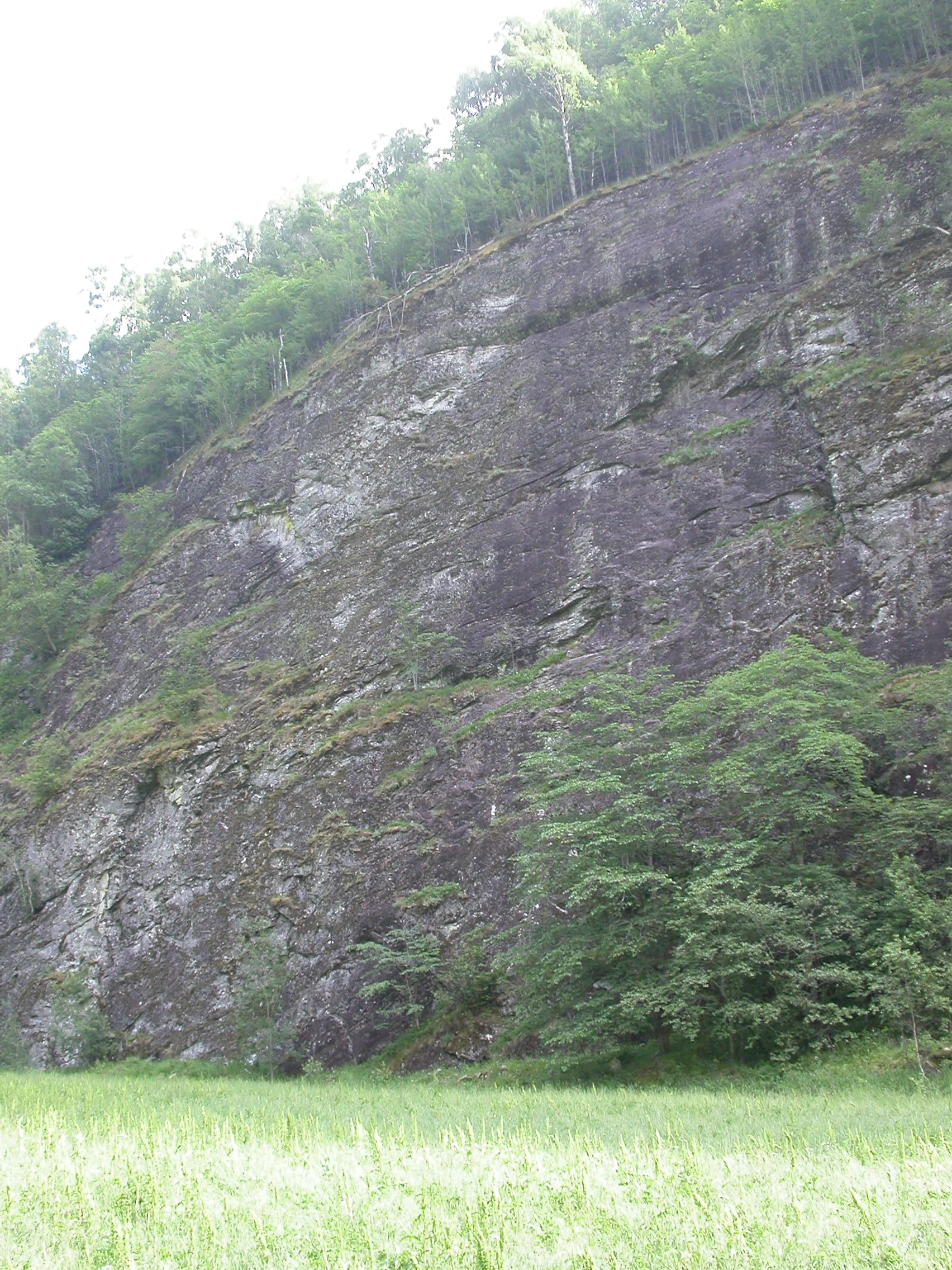 T1-C-6 uttørkingseksponerte sterkt intermediære og litt kalkrike berg, bergvegger og knauser.