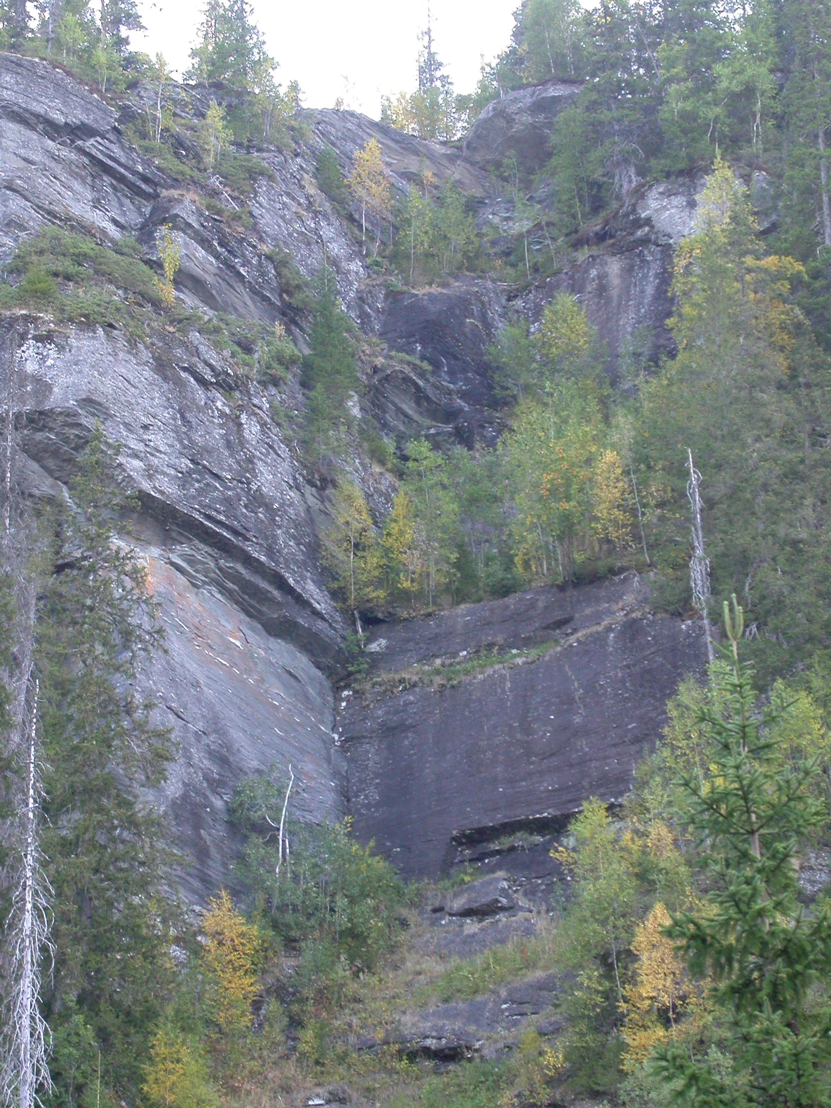 T1-C-8 uttørkingseksponerte temmelig til ekstremt kalkrike berg, bergvegger og knauser.