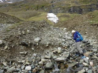 T13-C-6 intermediær og svakt kalkrik grus- og sanddominert rasmark.