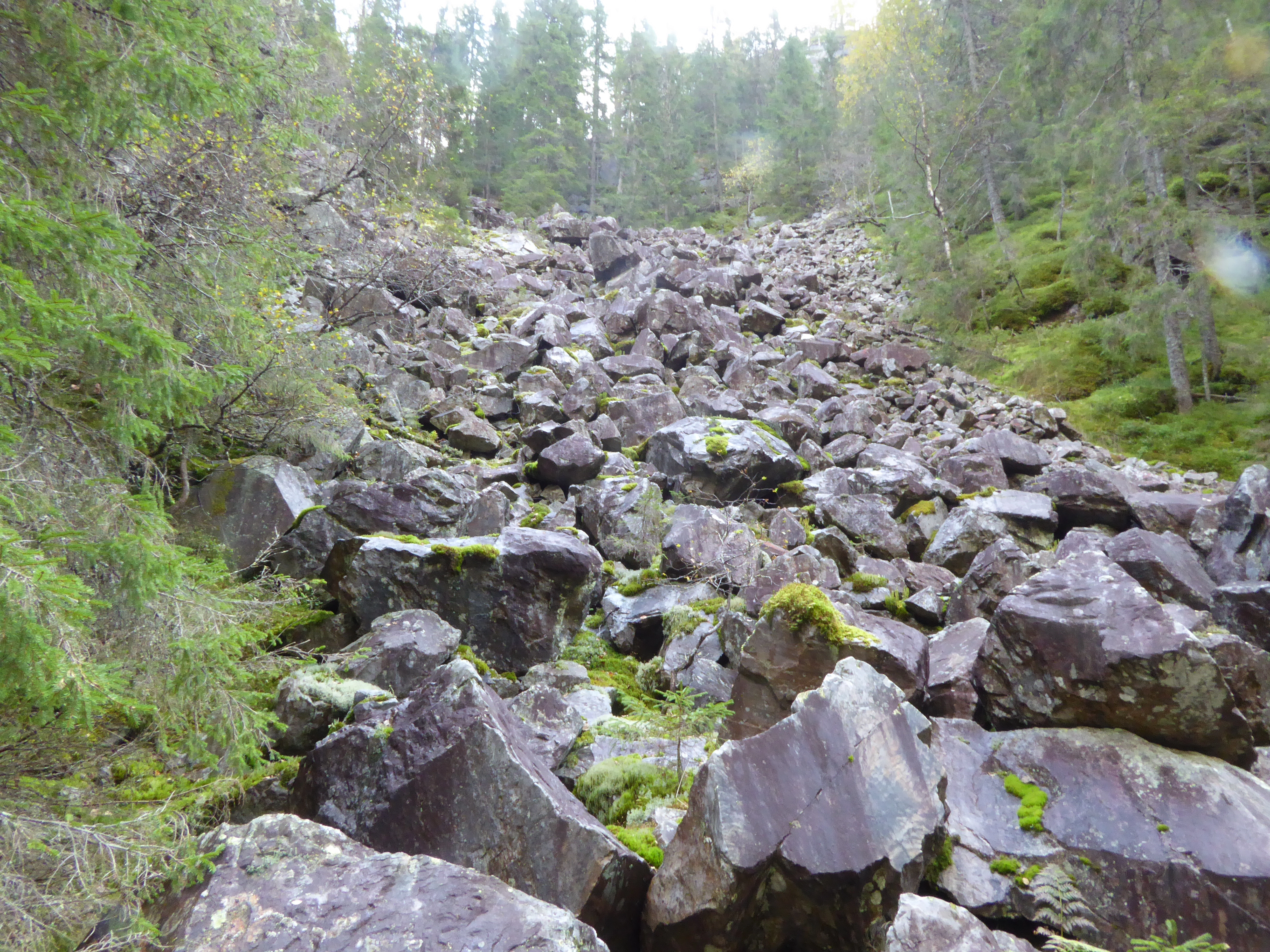 T13-C-10 kalkfattig fuktig grov ur.