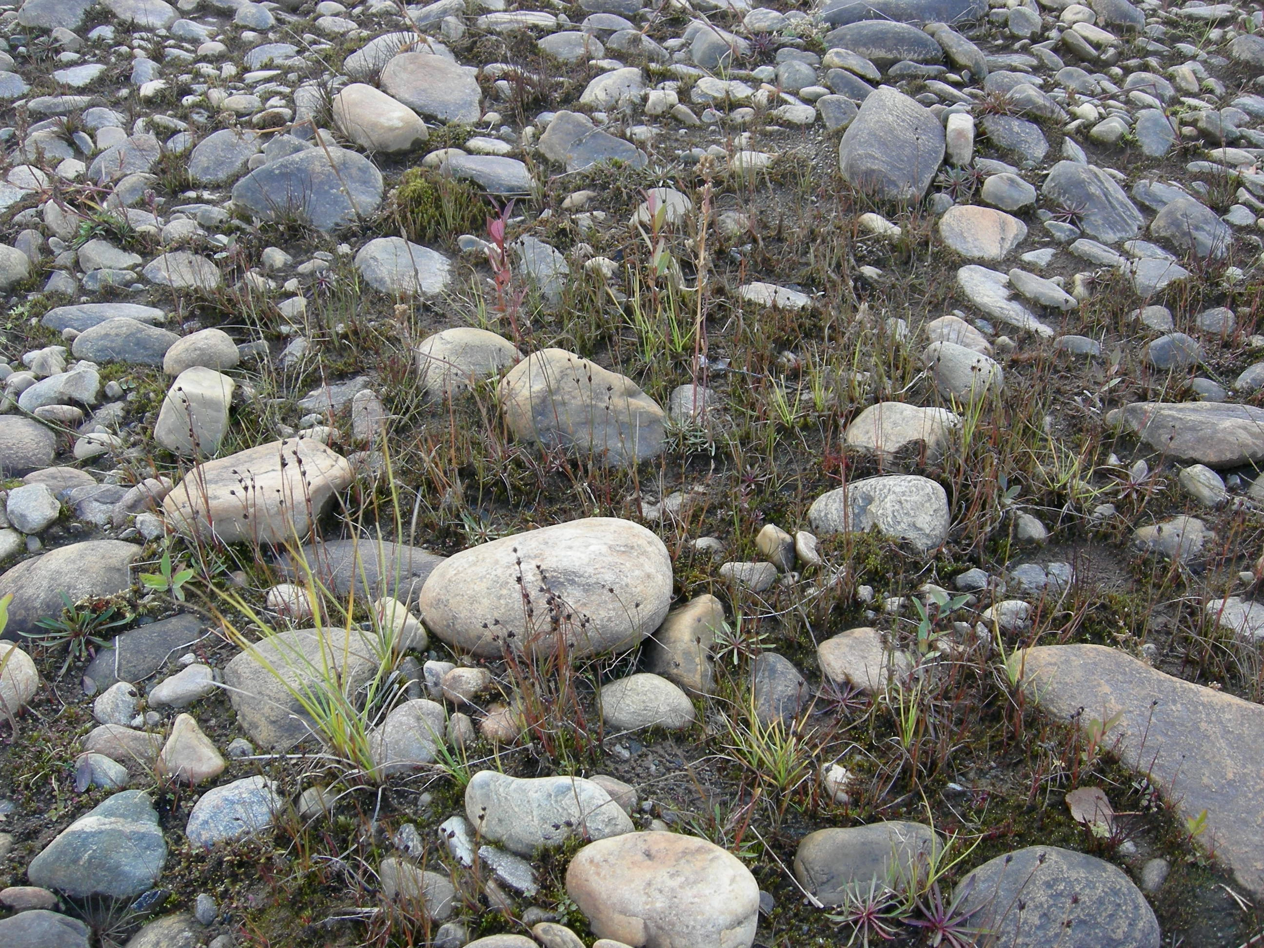 T18-C-1 åpne flomfastmarker på sand, grus og stein.