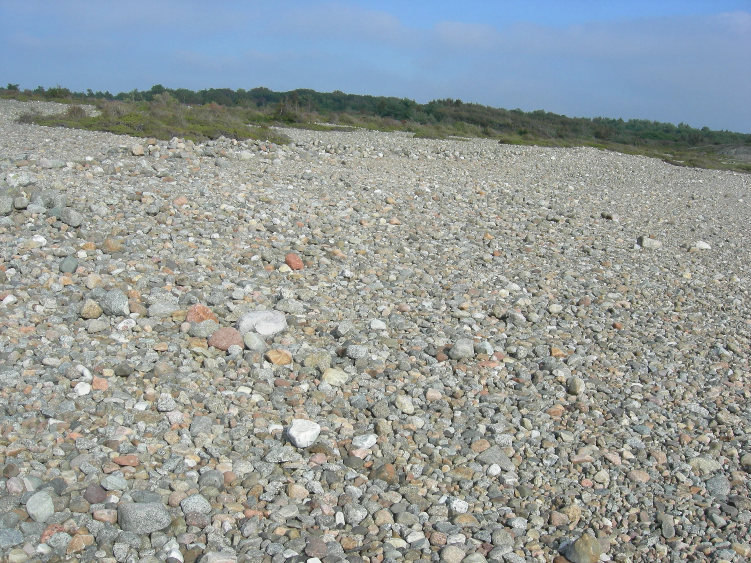 T29-C-2 stein- og grusstrender og strandlinjer i etablerings- og konsolideringsfase på epilitoral fastmark.