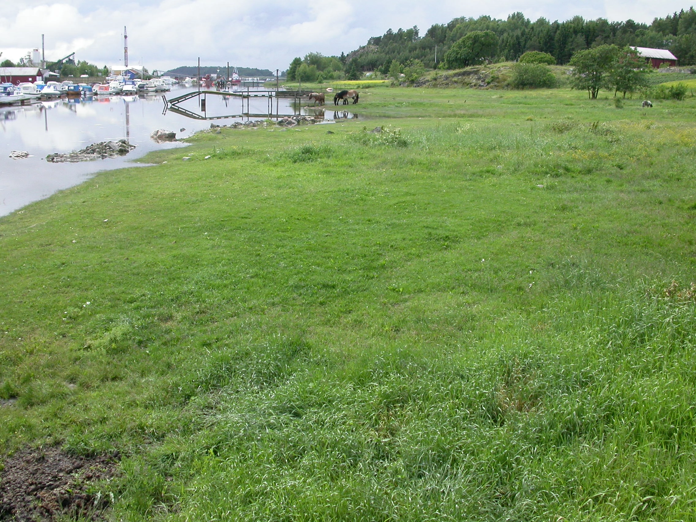 T33-C-2 øvre semi-naturlig strandeng.