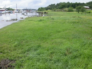 T33-C-2 øvre semi-naturlig strandeng.