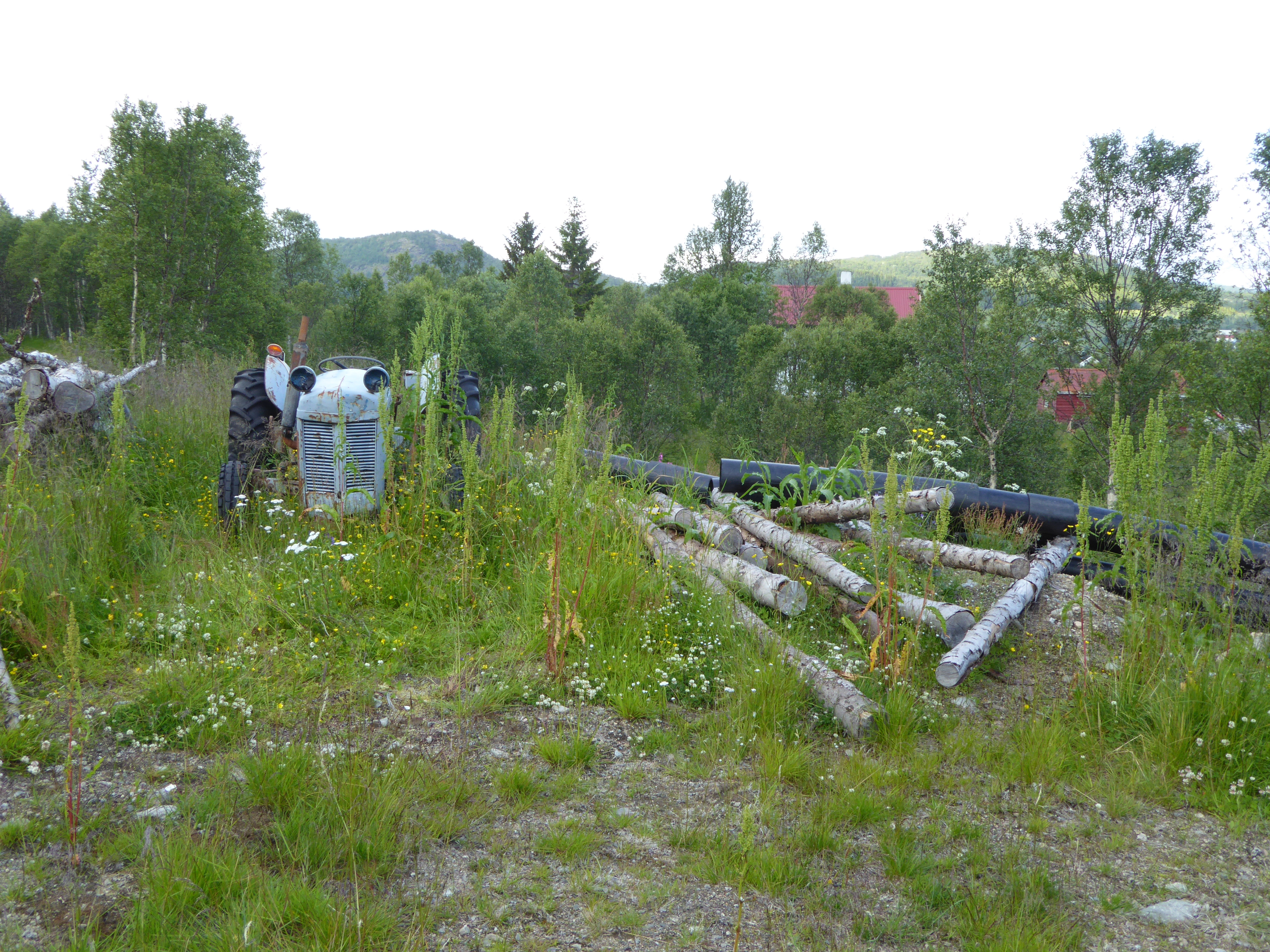 T35-C-1 sterkt endret fastmark med jorddekke.