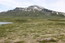 LA-TI-I-A-36 Middels kupert ås- og fjellandskap med hei over skoggrensen.