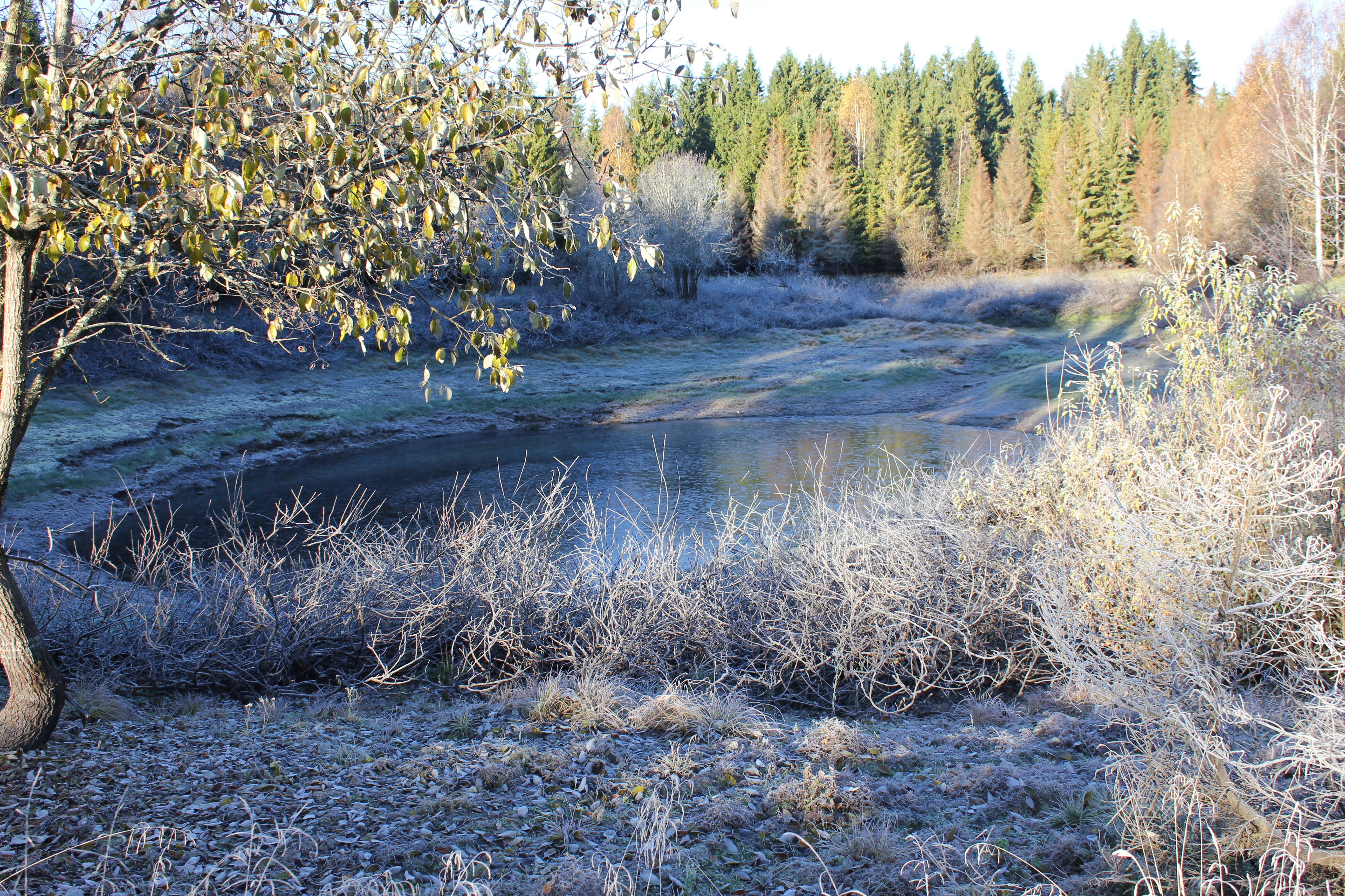 LA-TI-I-S-3 Innlandsslettelandskap under skoggrensen med bebygde områder.