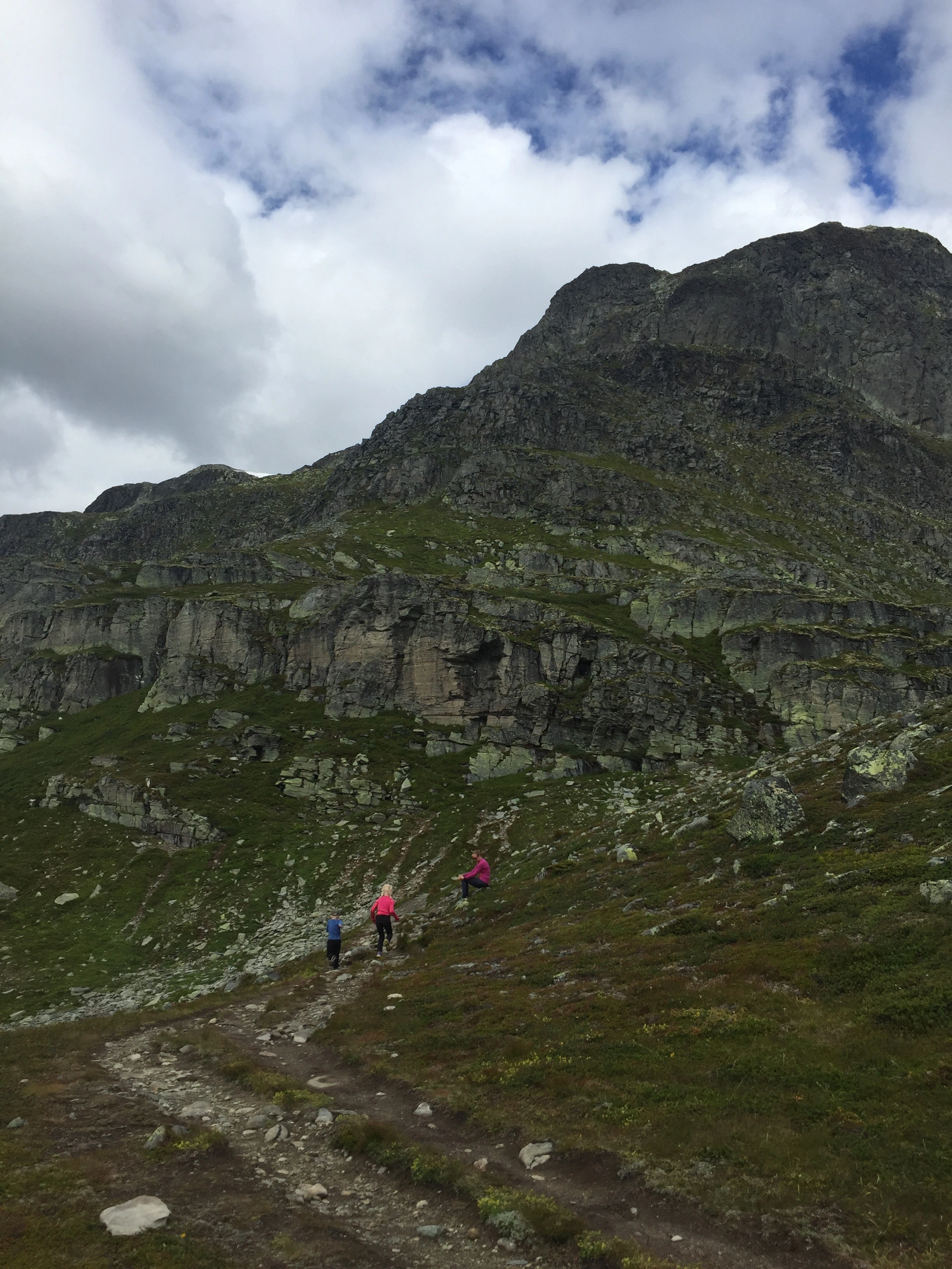 LA-TI-I-A-52 Tindepreget ås- og fjellandskap med hei over skoggrensen.