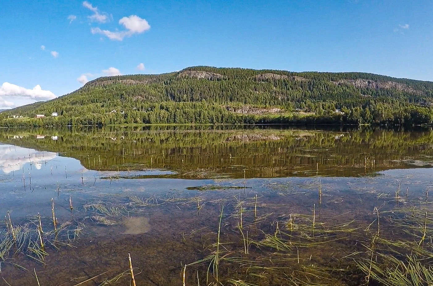 L2 Eufotisk innsjø-sedimentbunn.