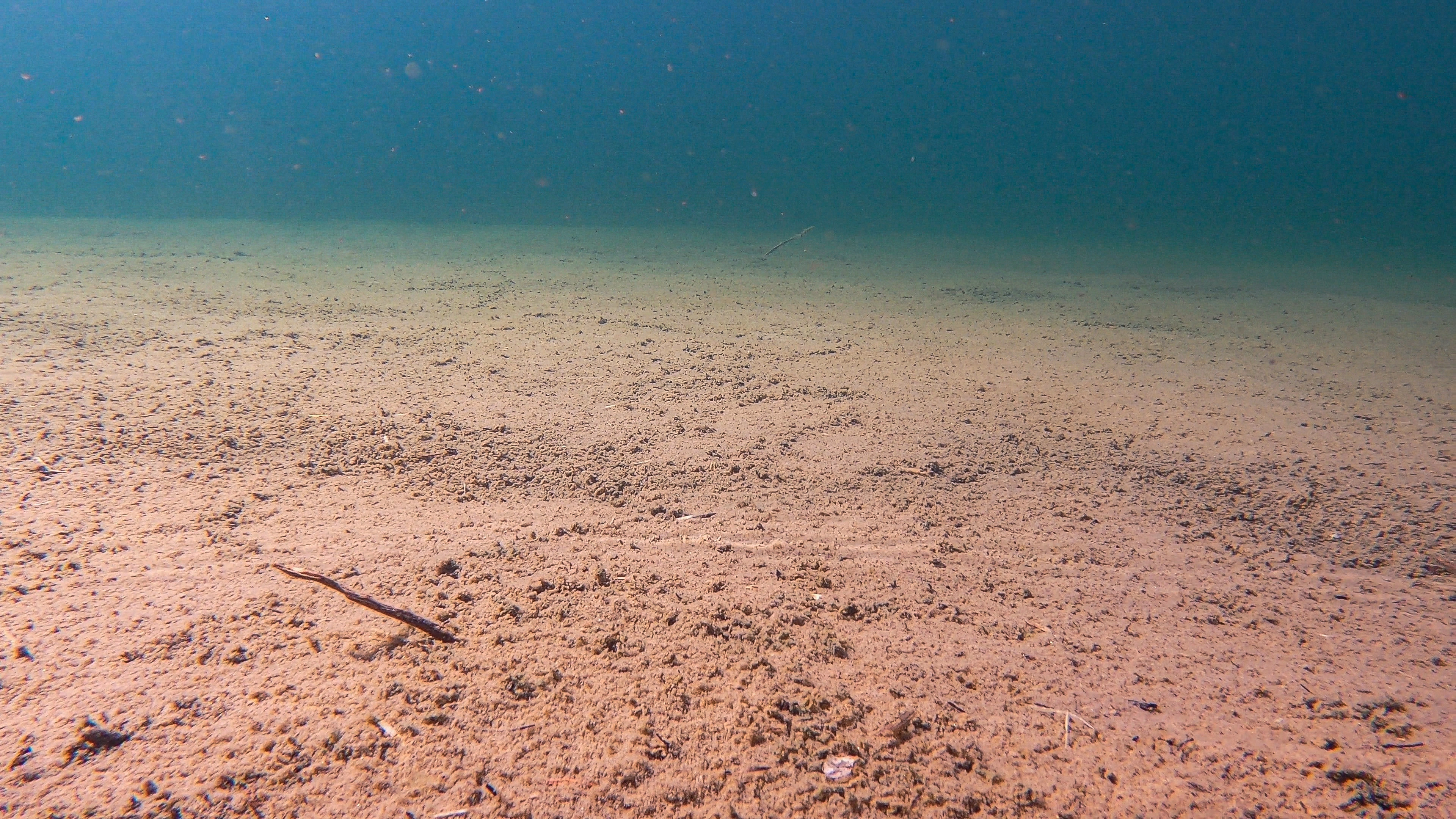 L2-C-3 Svært kalkfattig fin innsjø-sedimentbunn i plantebeltet. L2 Eufotisk innsjø-sedimentbunn.