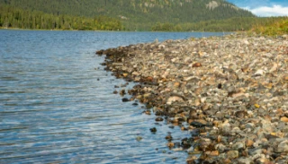 L2-C-6 Noe kalkfattig grov innsjø-sedimentbunn i strandkant.