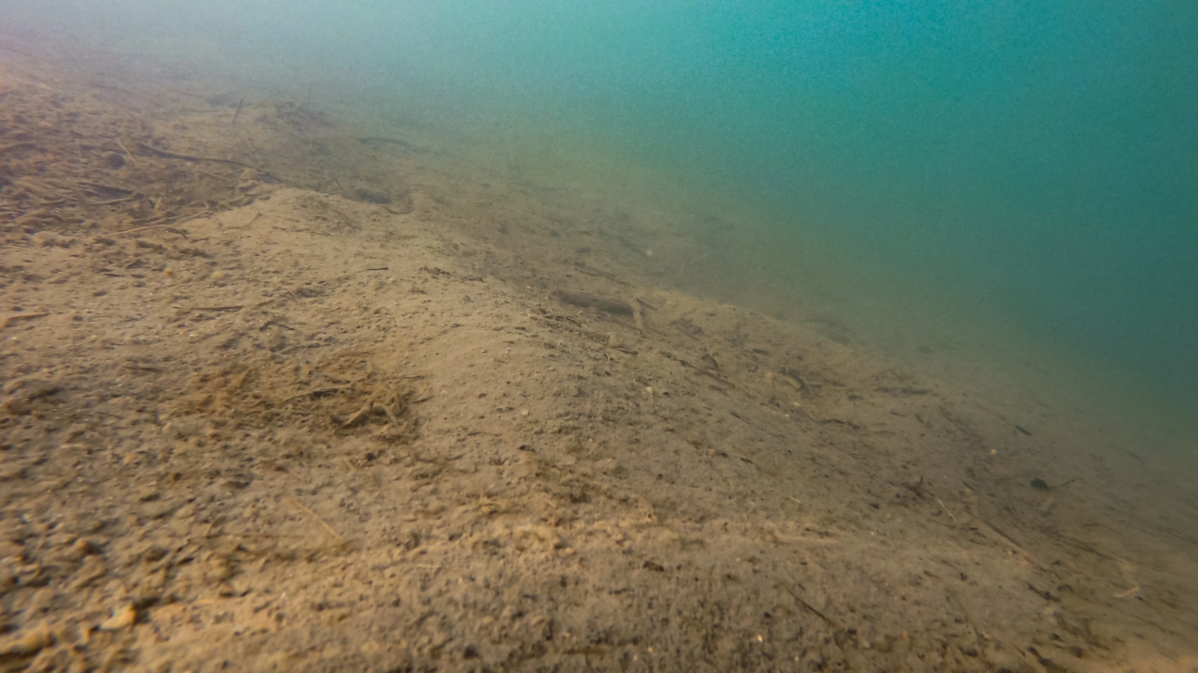 L2-C-17 Turbid eufotisk innsjø-sedimentbunn. L2 Eufotisk innsjø-sedimentbunn.