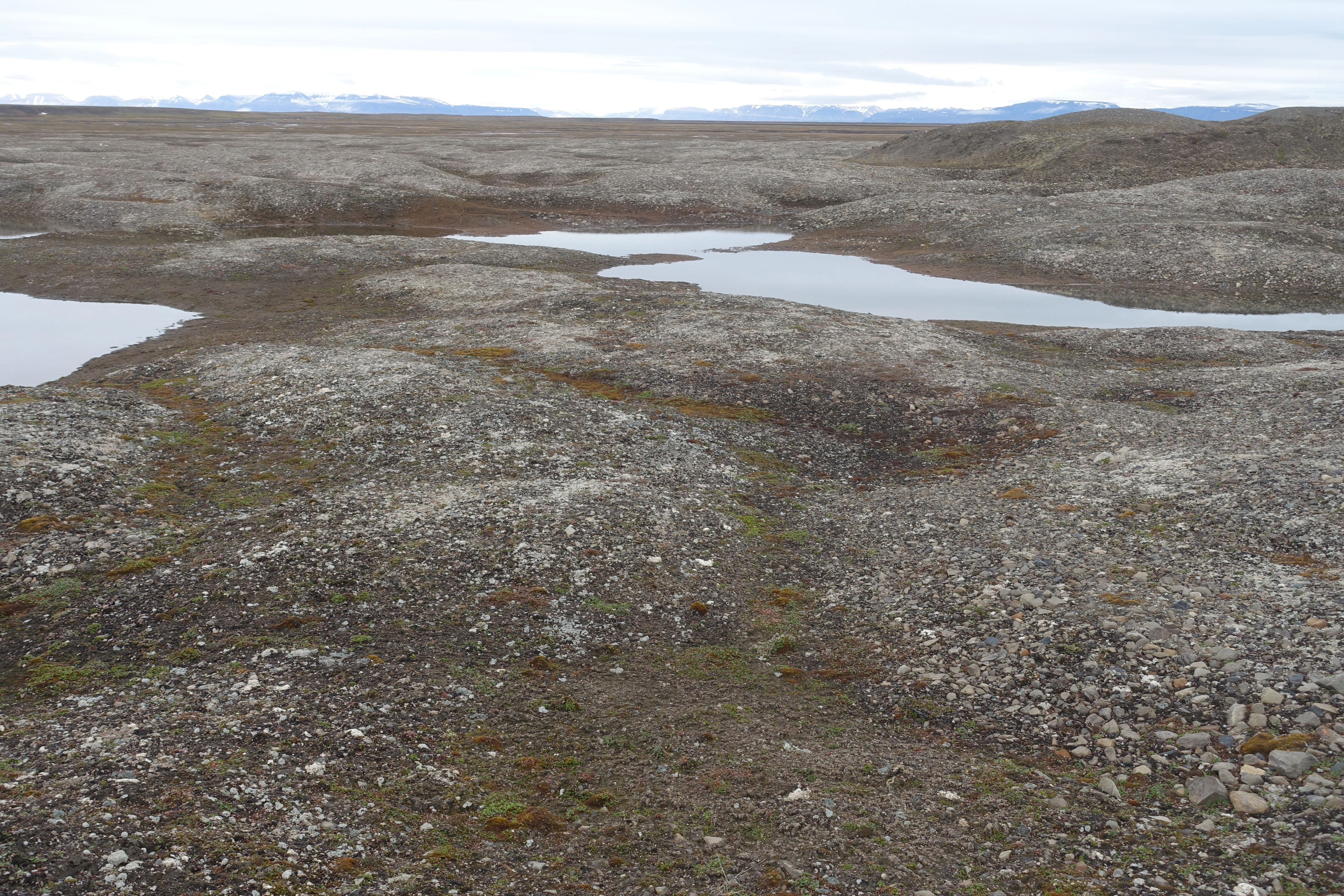 L10-C-1 Arktisk permafrost-innsjøbunn. L10 Arktisk permafrost-innsjøbunn.