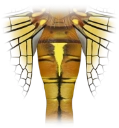 : Aeshna isoceles.
