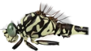 : Onychogomphus forcipatus.